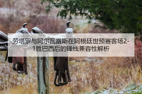 劳塔罗与阿尔瓦雷斯在阿根廷世预赛客场2-1胜巴西后的锋线兼容性解析