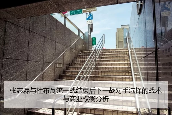 张志磊与杜布瓦统一战结束后下一战对手选择的战术与商业权衡分析