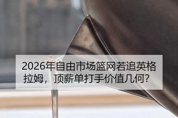 nian-zi-you-shi-chang-lan-wang-ruo-zhui-ying-ge-la-mu-ding-xin-dan-da-shou-jia-zhi-ji-he-3-341.jpg
