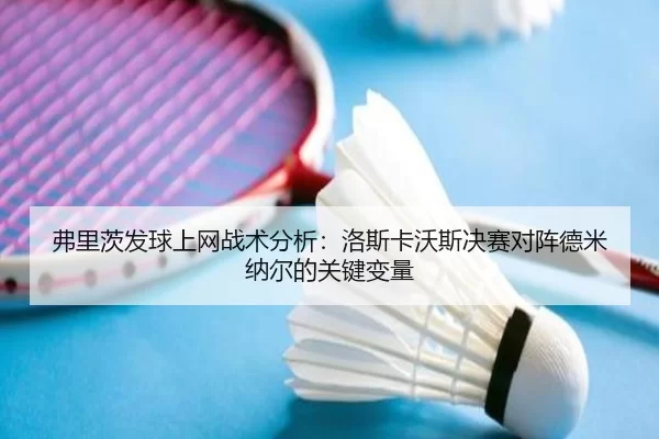 弗里茨发球上网战术分析：洛斯卡沃斯决赛对阵德米纳尔的关键变量